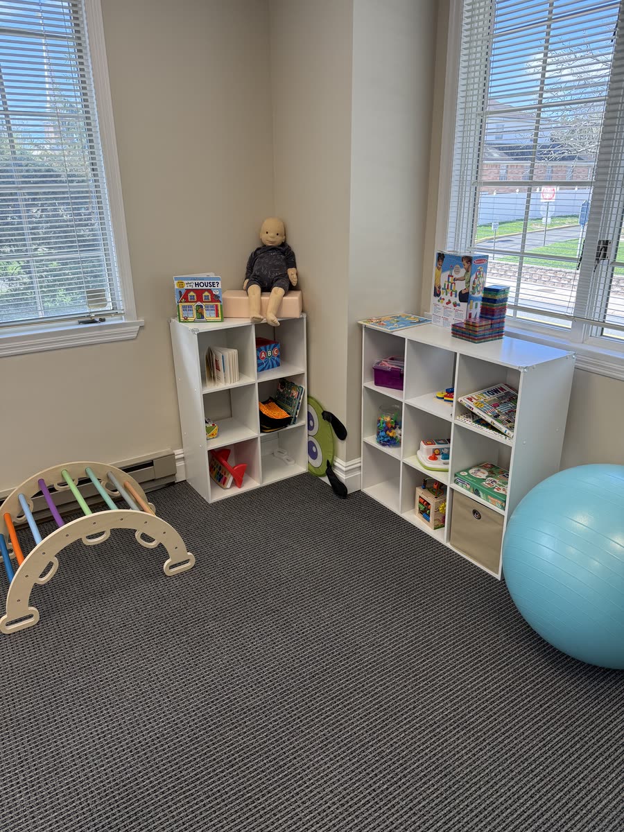 Pediatric physical therapy at Steps of Joy — photo 1